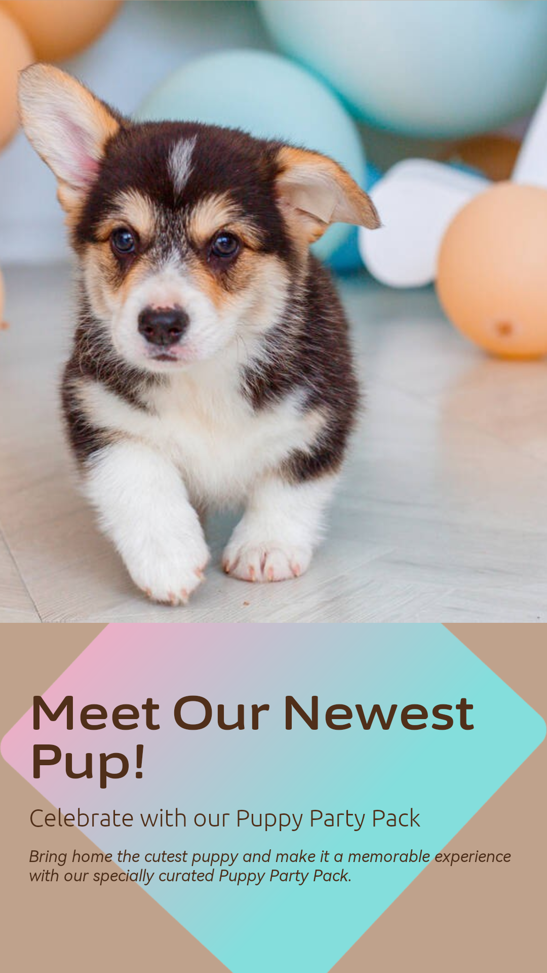 Pet industry New arrivals