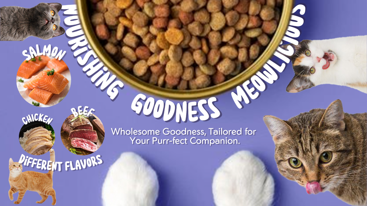 Poste de nourriture pour chats