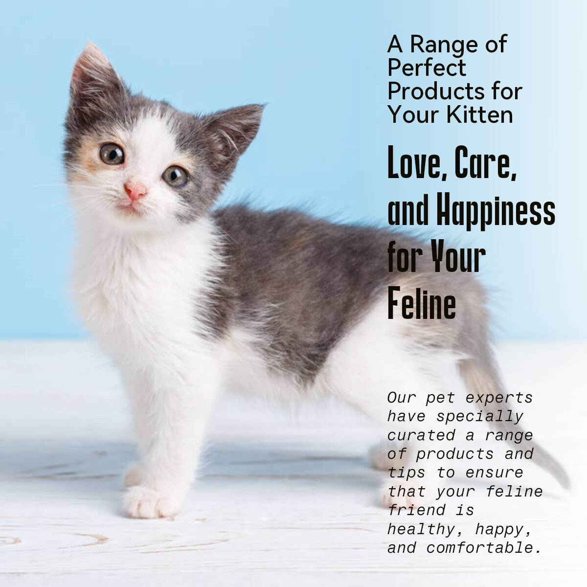 Industri hewan peliharaan Umum