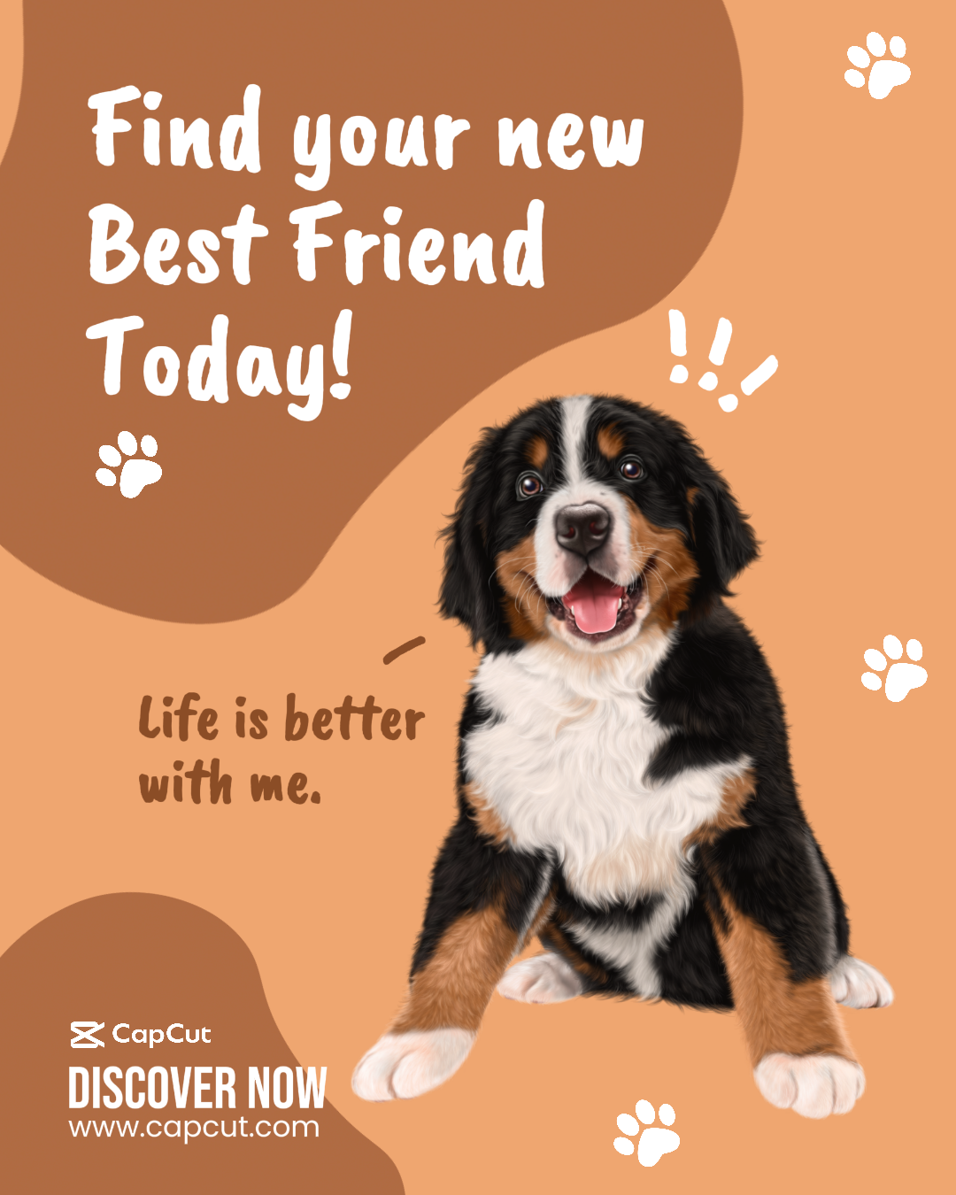 Tienda de mascotas - Póster de Instagram