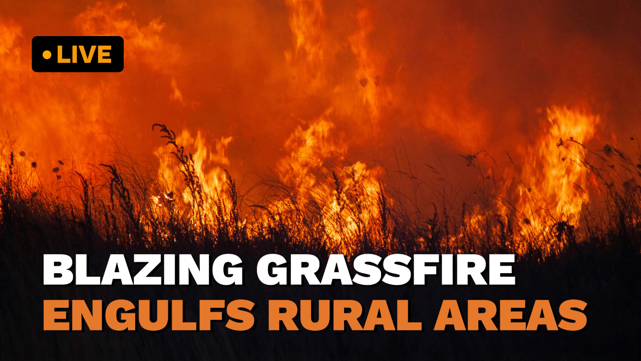 Youtube-Miniaturansicht - Nachrichten - Blazing Grassfire