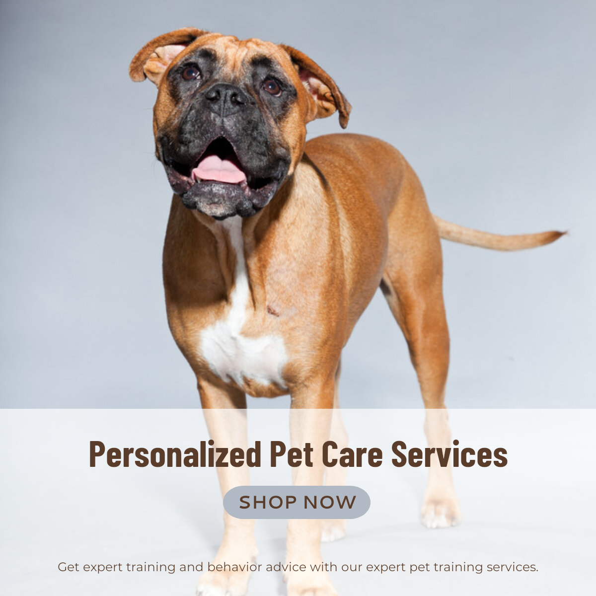 Exibição de efeitos da indústria animal de estimação