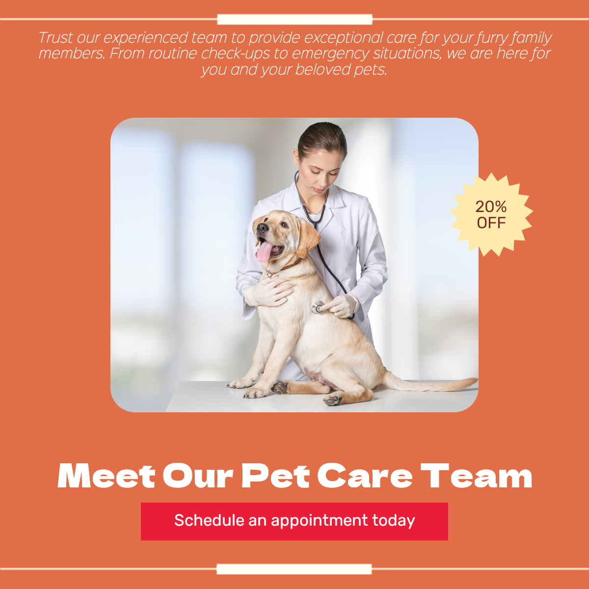 Pet industry Team introduction