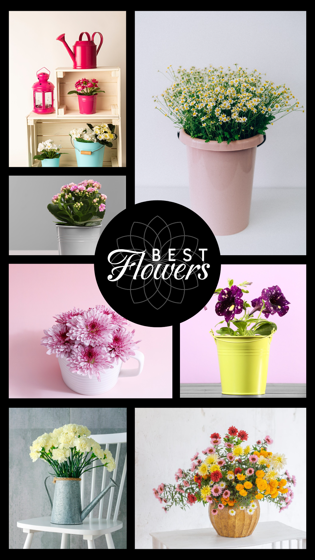 Minimalistische Collage Kreatives Poster Instagram Story Beste Blumen Schwarz