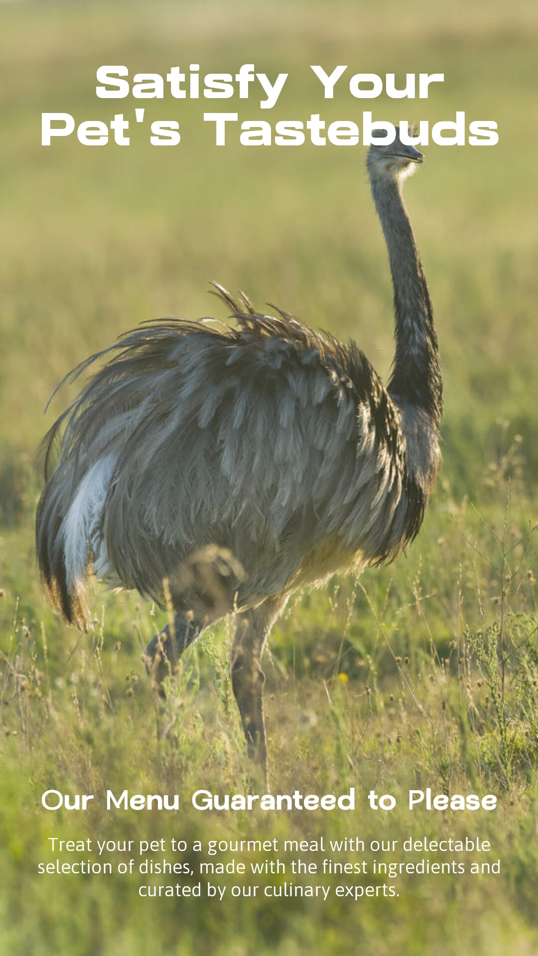 Menü Haustierindustrie