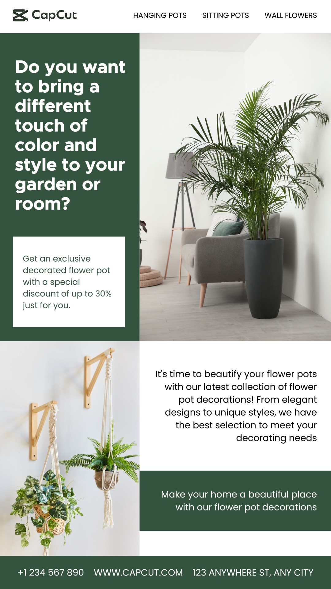 Exhibición De Productos De Decoración De Macetas Insta Story