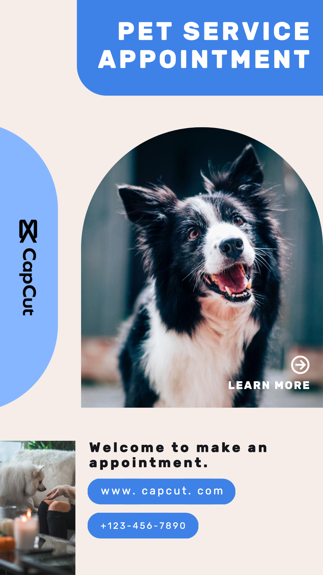 Services Pet Service Promotion d'événements Minimaliste 