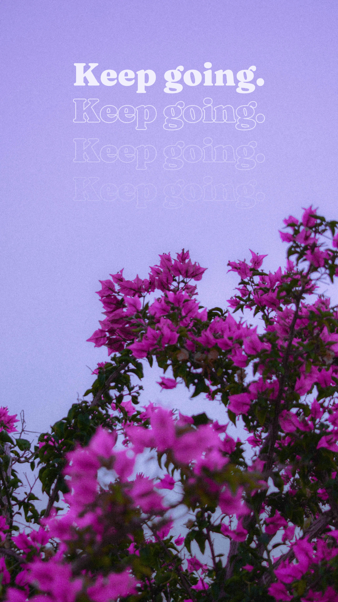 배경 화면 크리에이티브 포스터 Bougainvillea 꽃 - 계속하세요