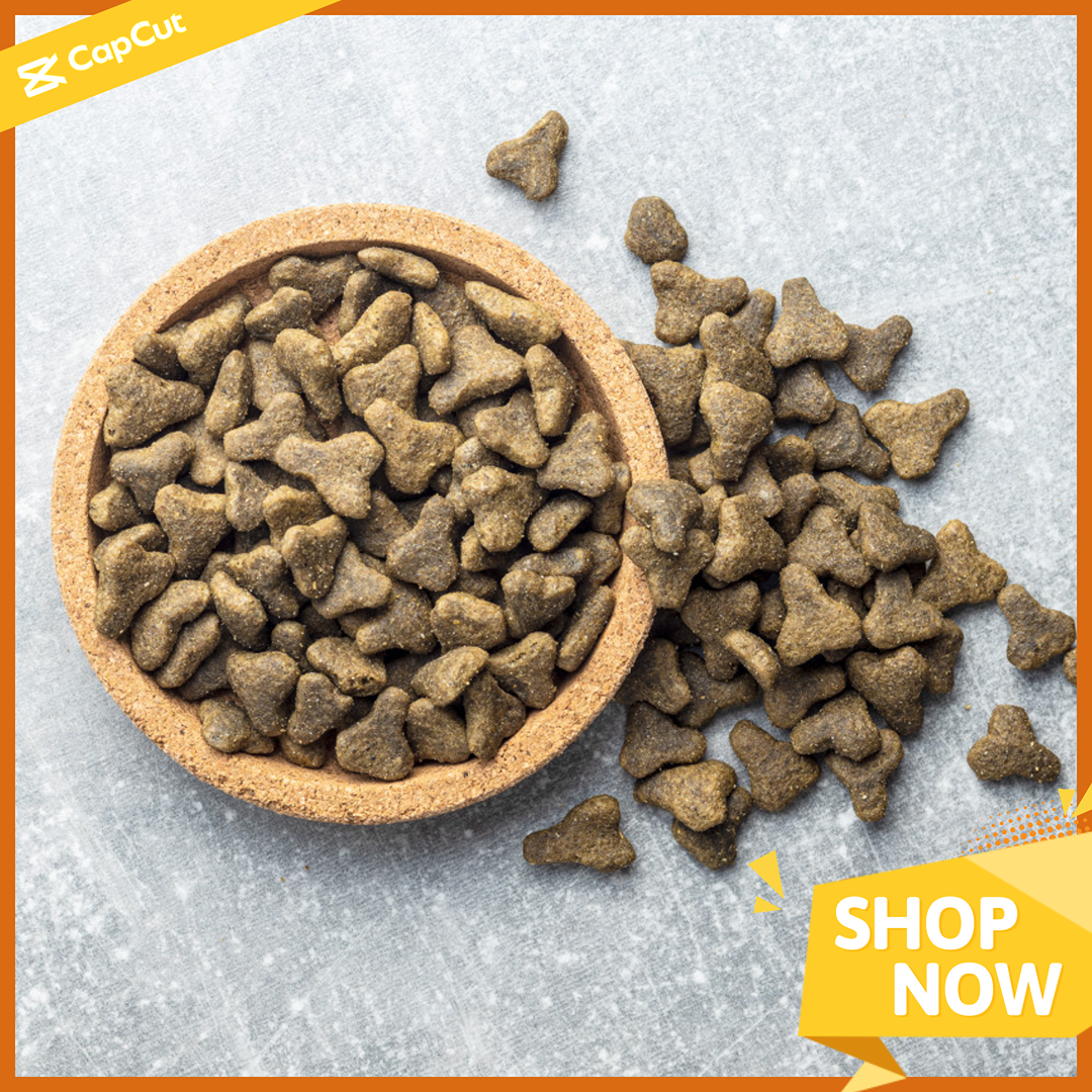 Comercio electrónico Mascotas Perros comida Marco Amarillo Minimalista