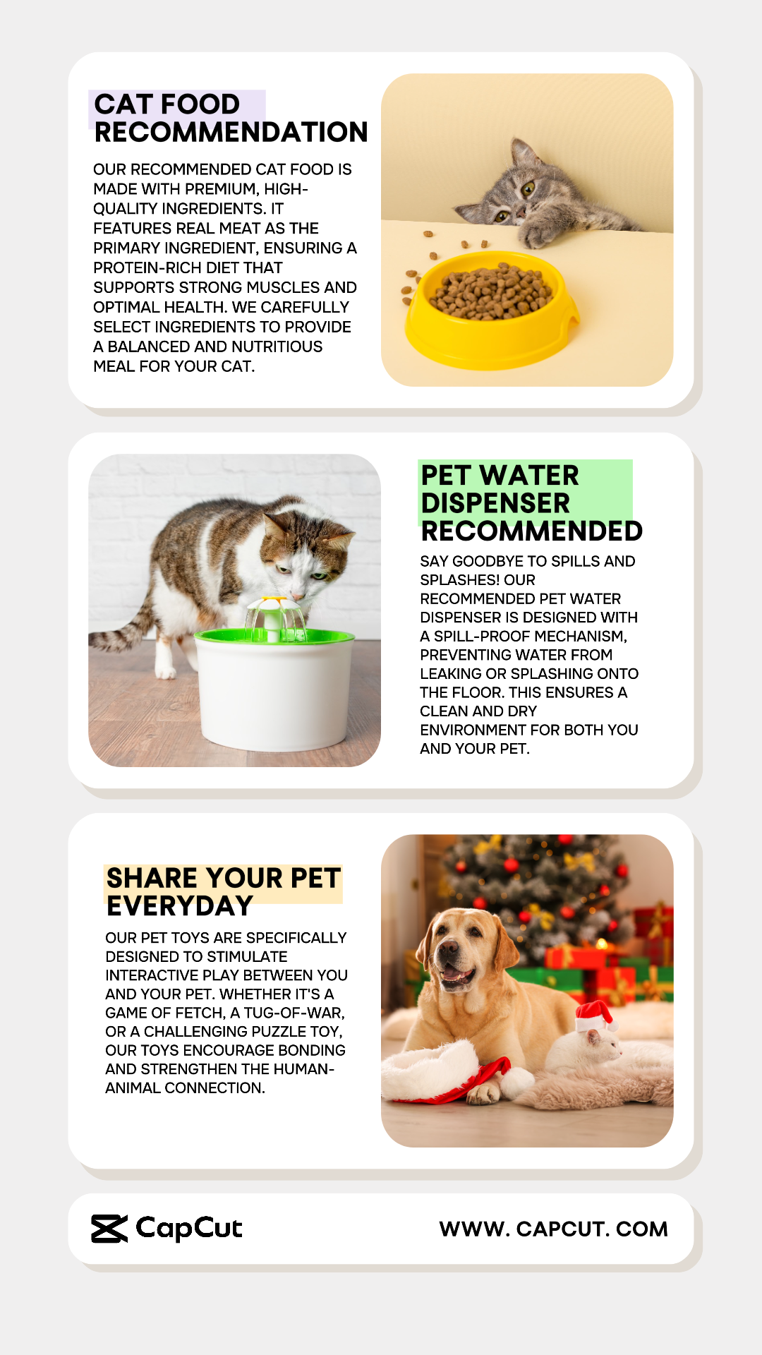 Services Promotion d'événements marketing faible pour animaux de compagnie