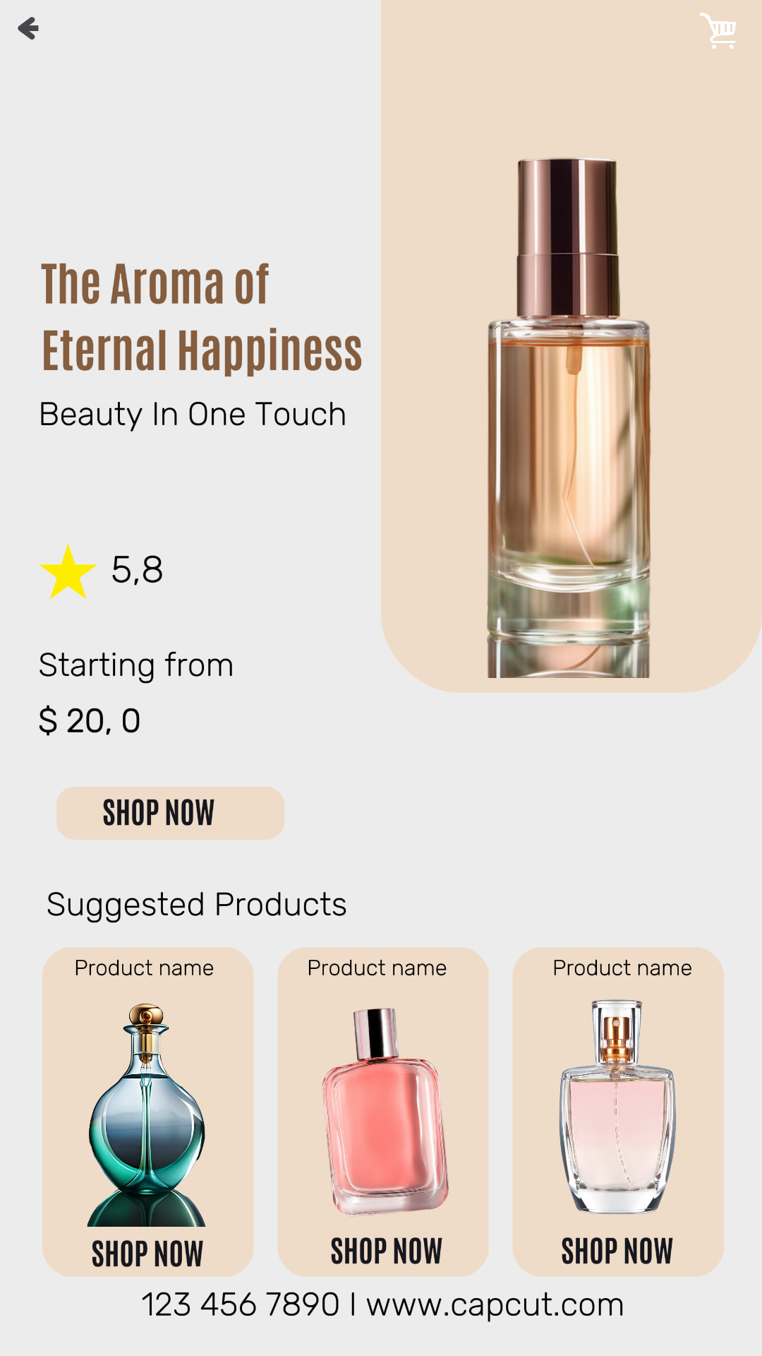 Produk Display perfume UI Design Instagram Story