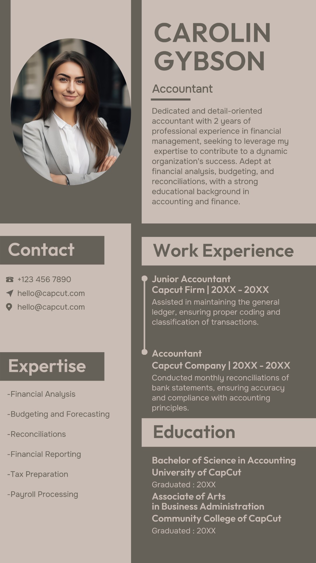 Business Resume Work Experience Accountant