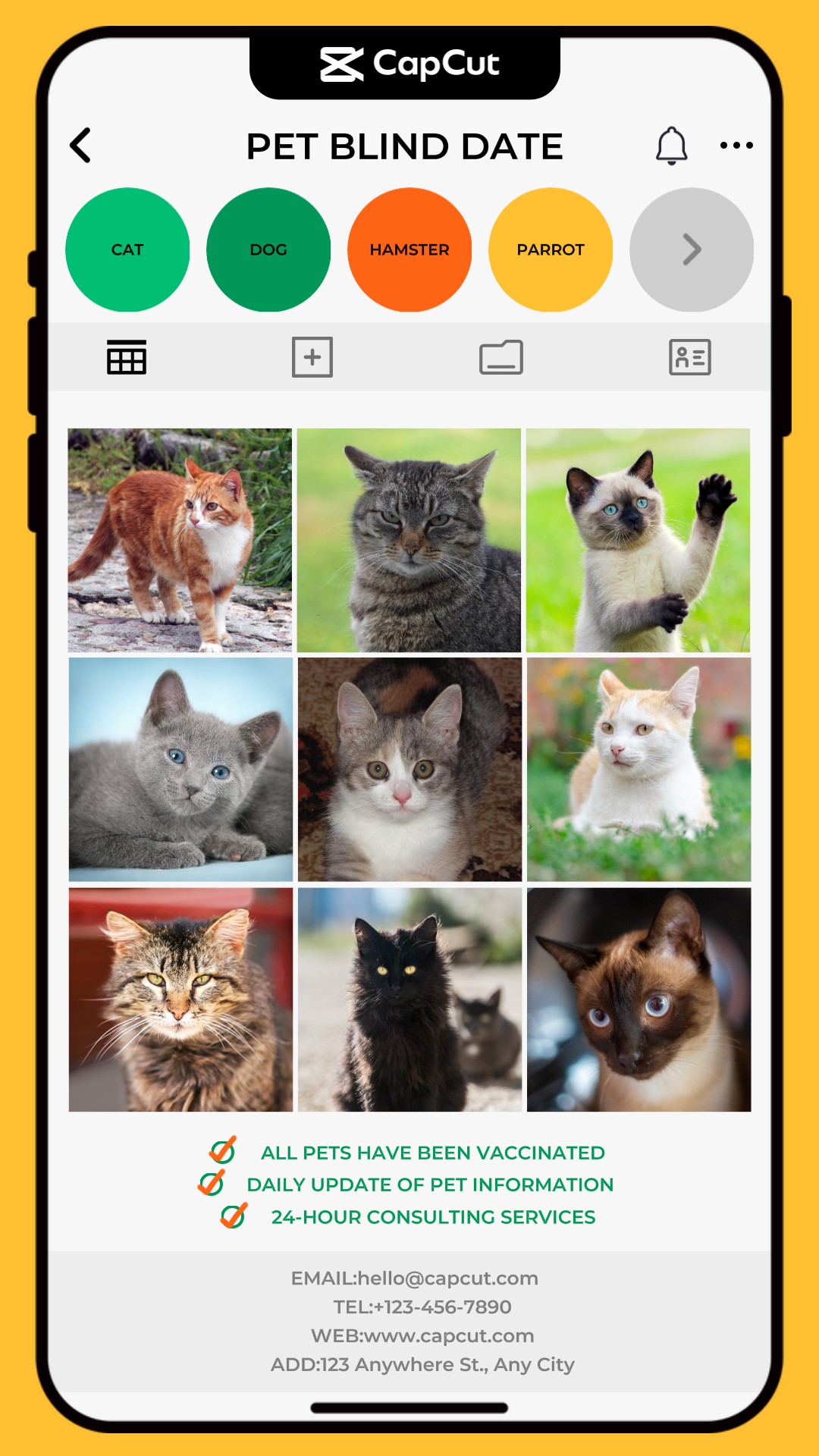 capcut template cover