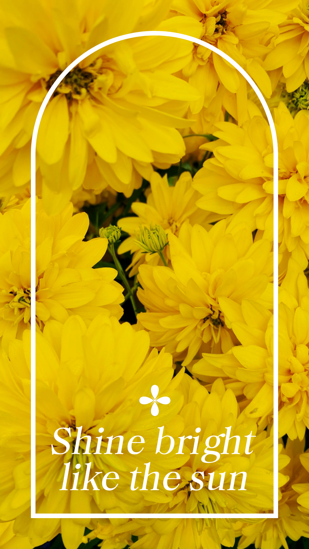 Wallpaper creative poster flower yellow