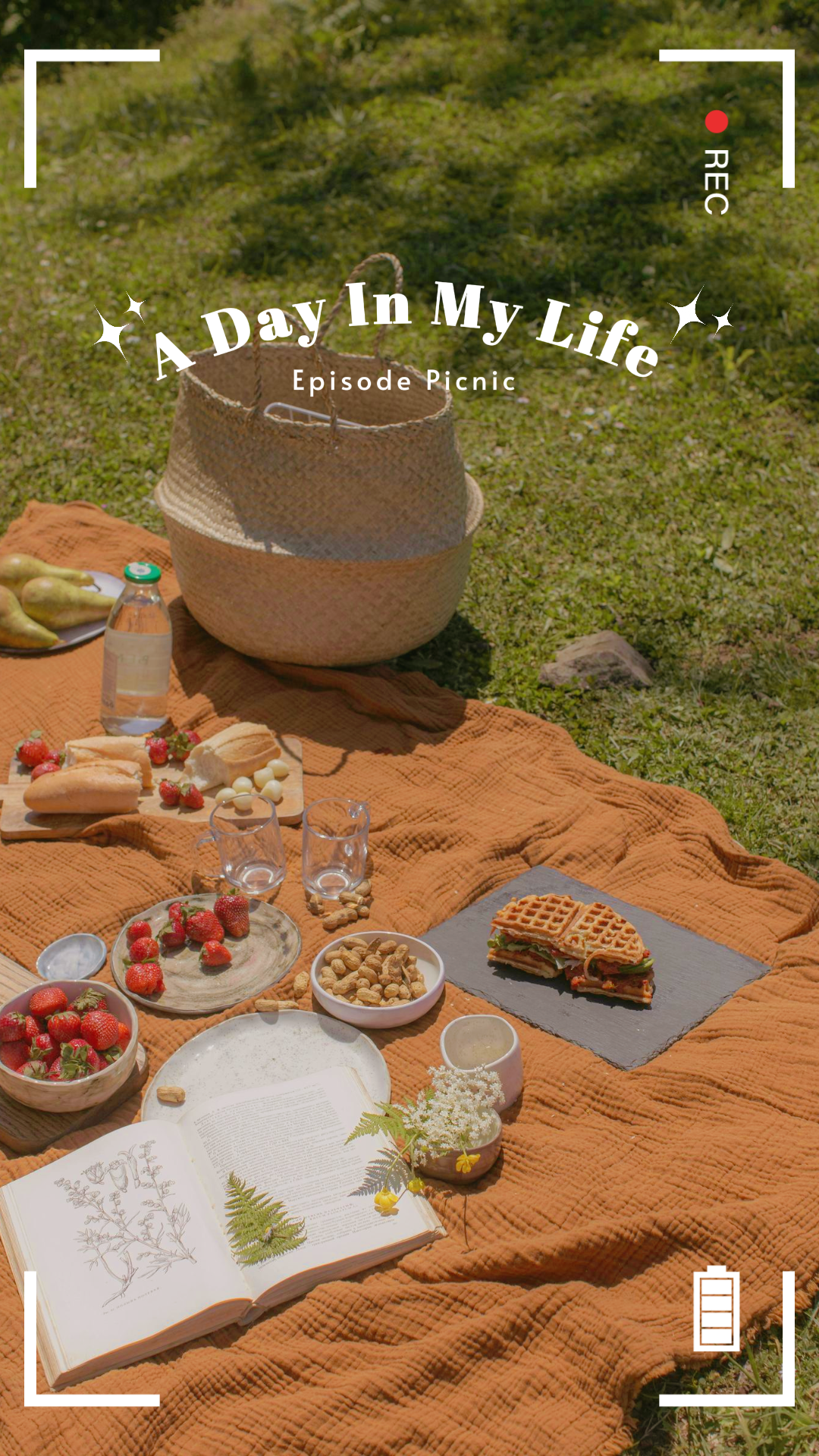 Tiktok Thumbnail Daily Vlog Esthétique