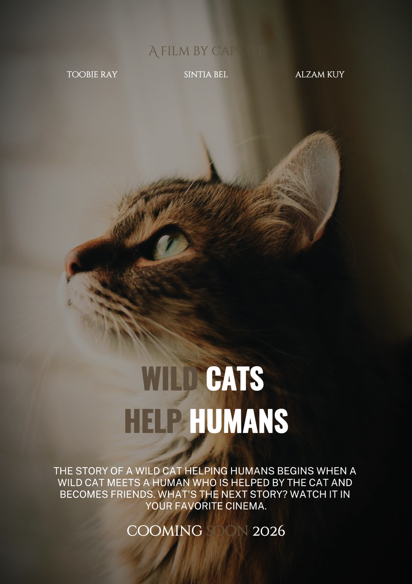 Wild CatsFilm-Poster