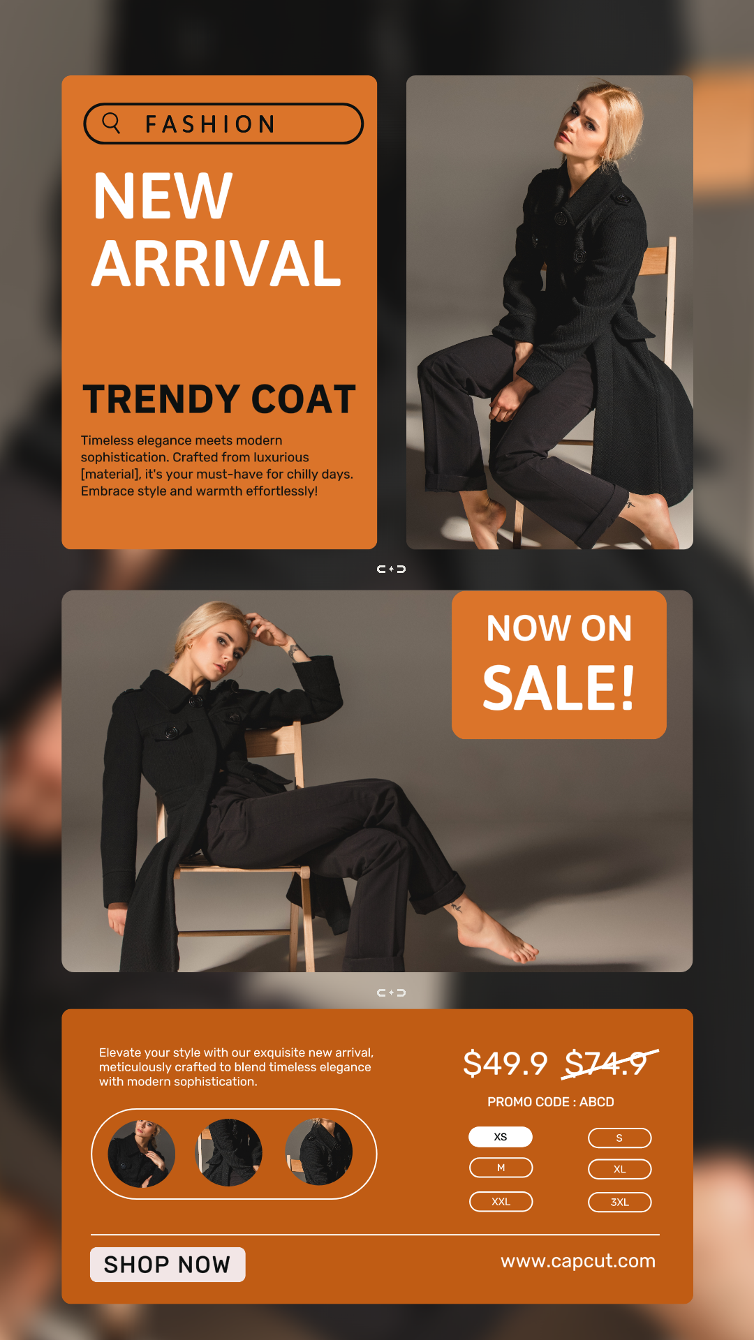 Affiche de marketing de vêtements manteau femme tendance histoire instagram 