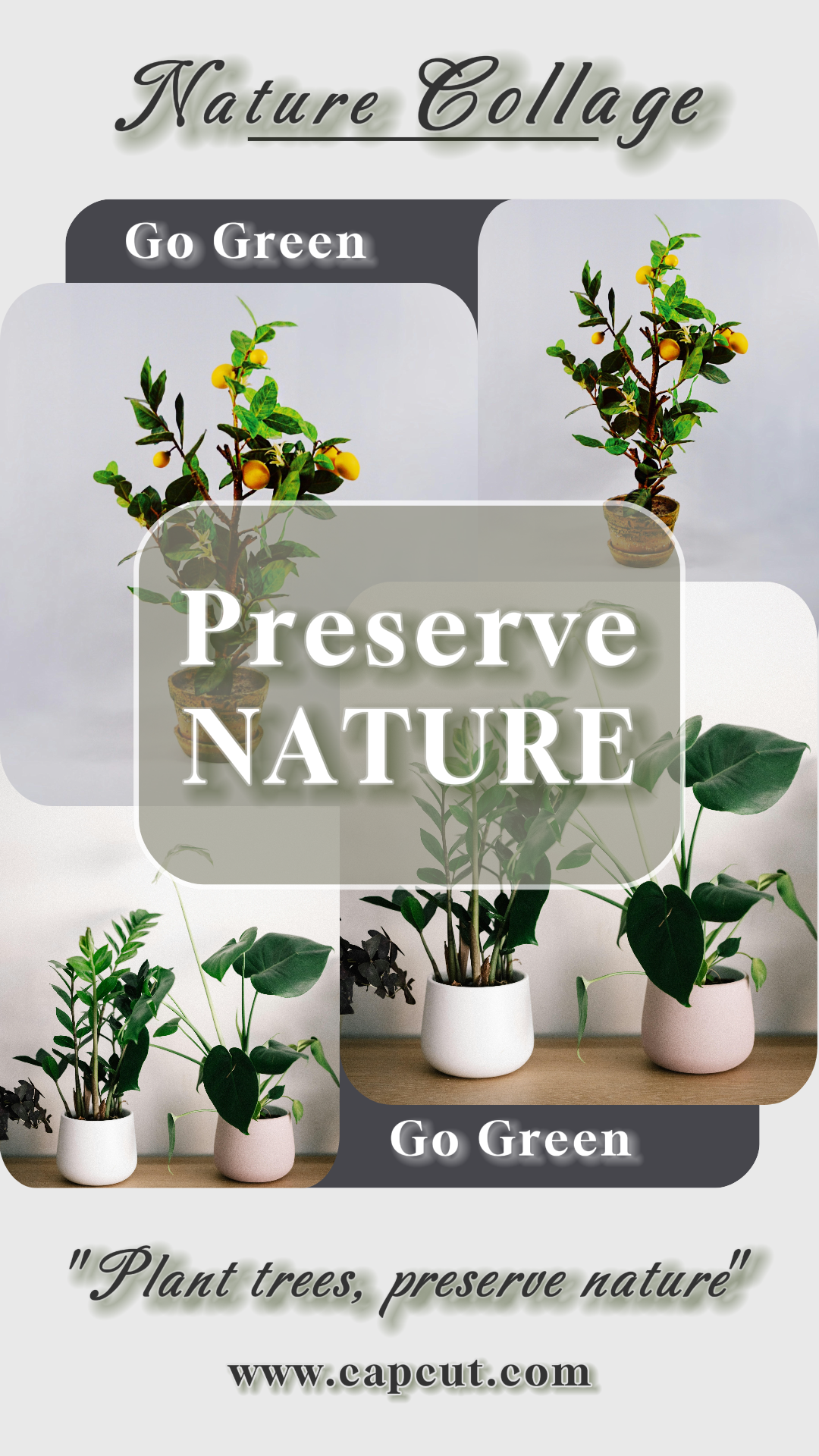 Minimalistische Collage - Instagram Story Minimalistische Natur Collage