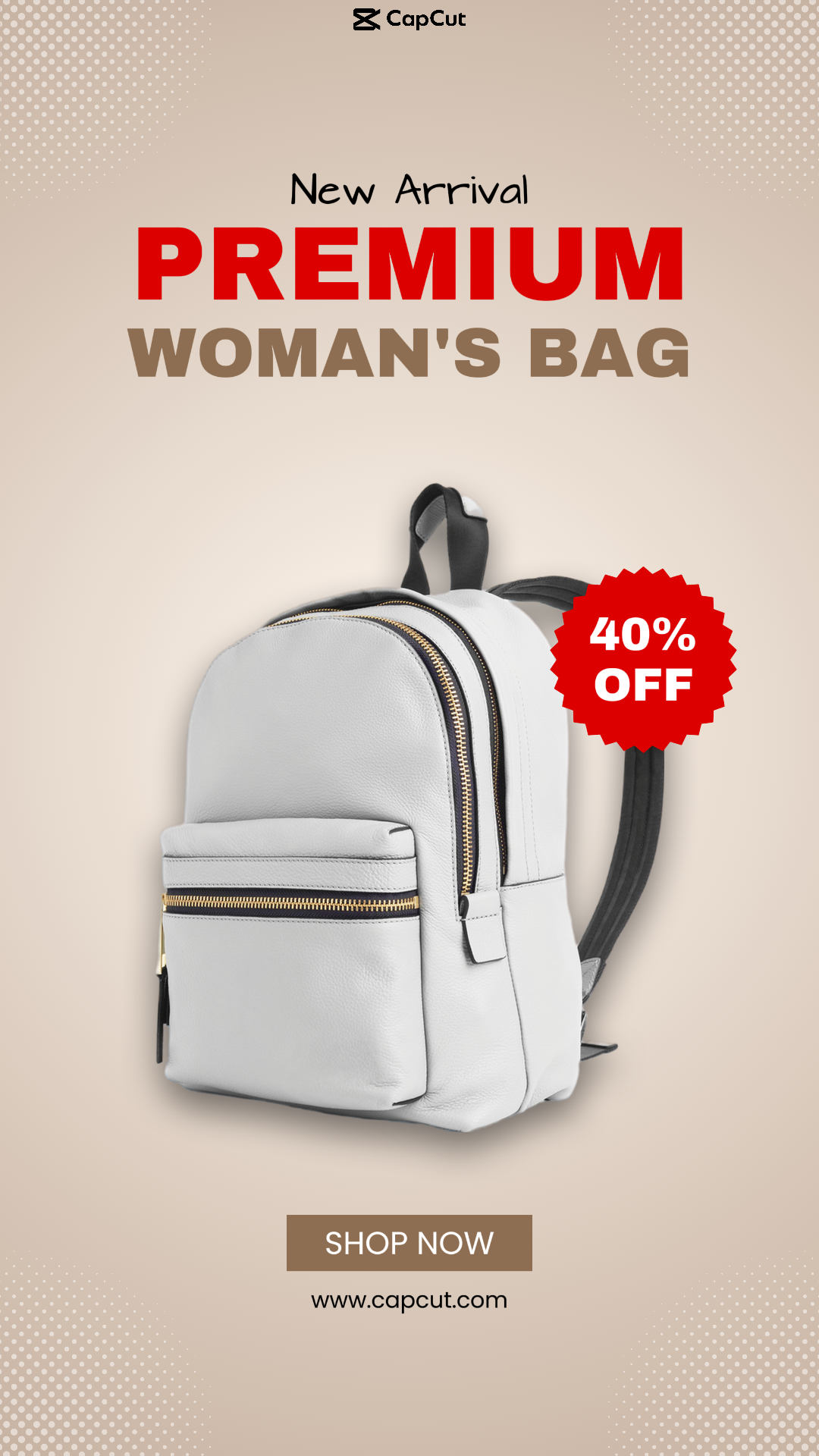 Nouveauté Premium Woman's Bag Instagram Story