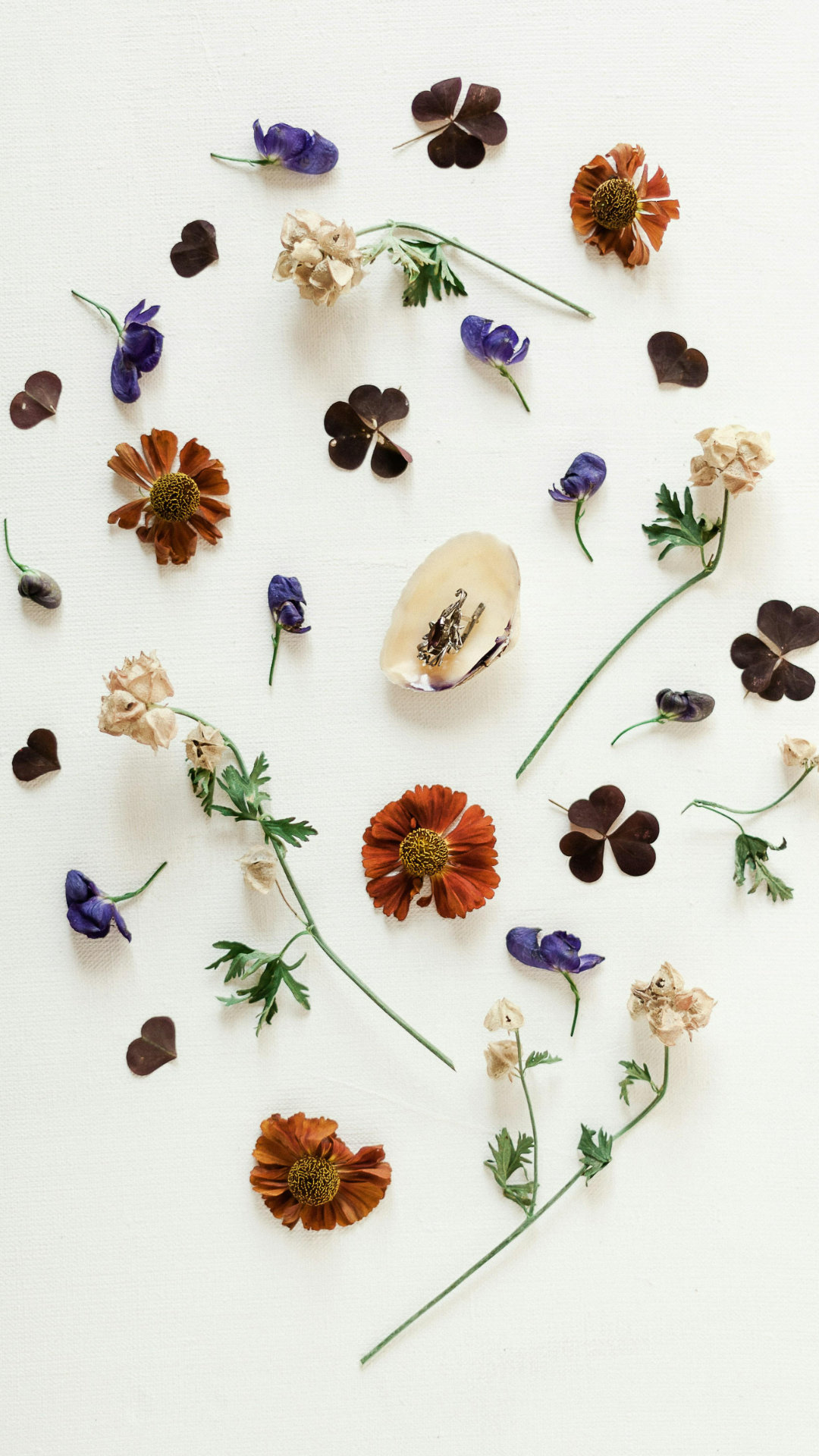 Fondo de pantalla cartel creativo planta y flores