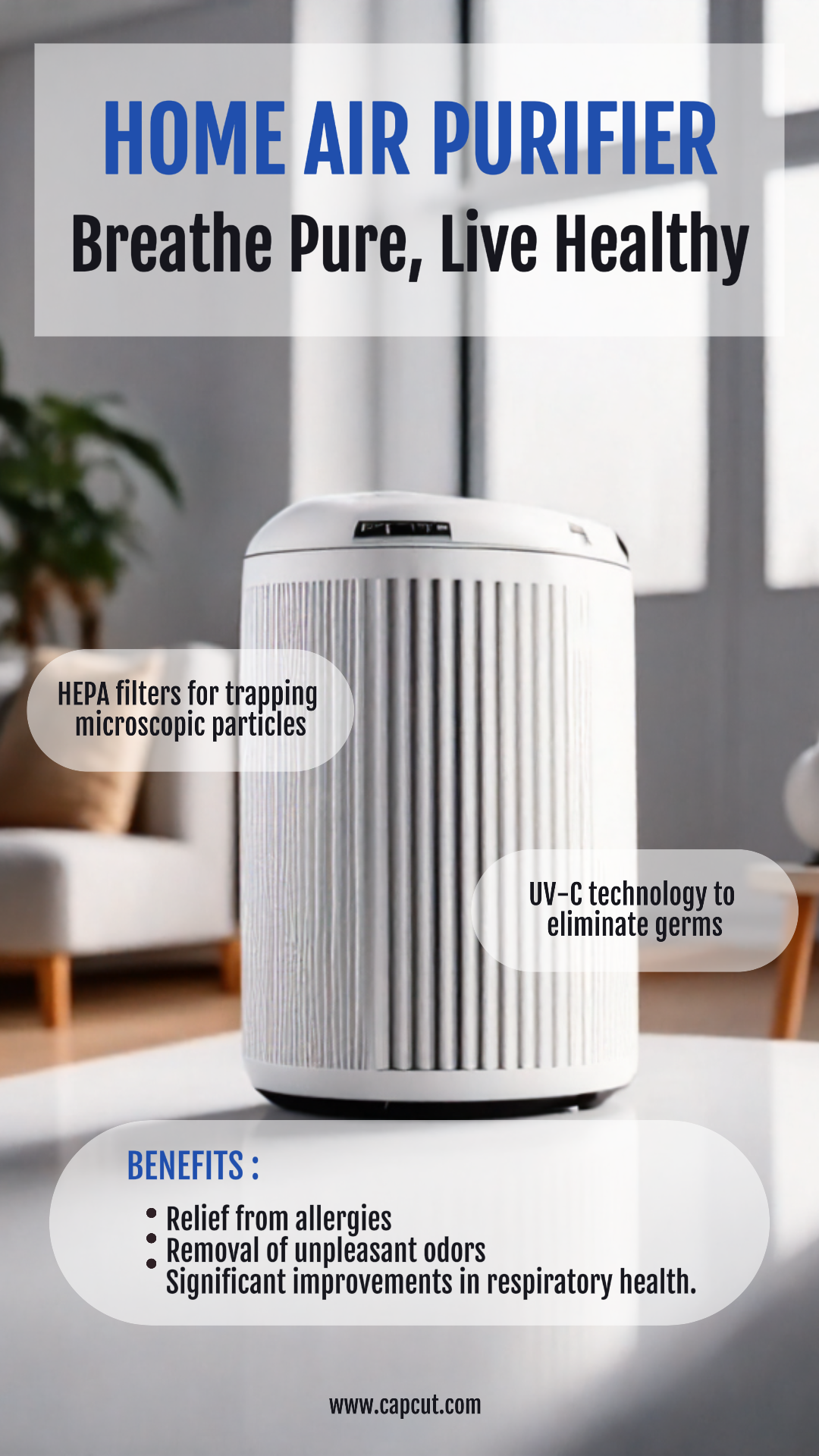 Elektronischer Luftreiniger Produktanzeige