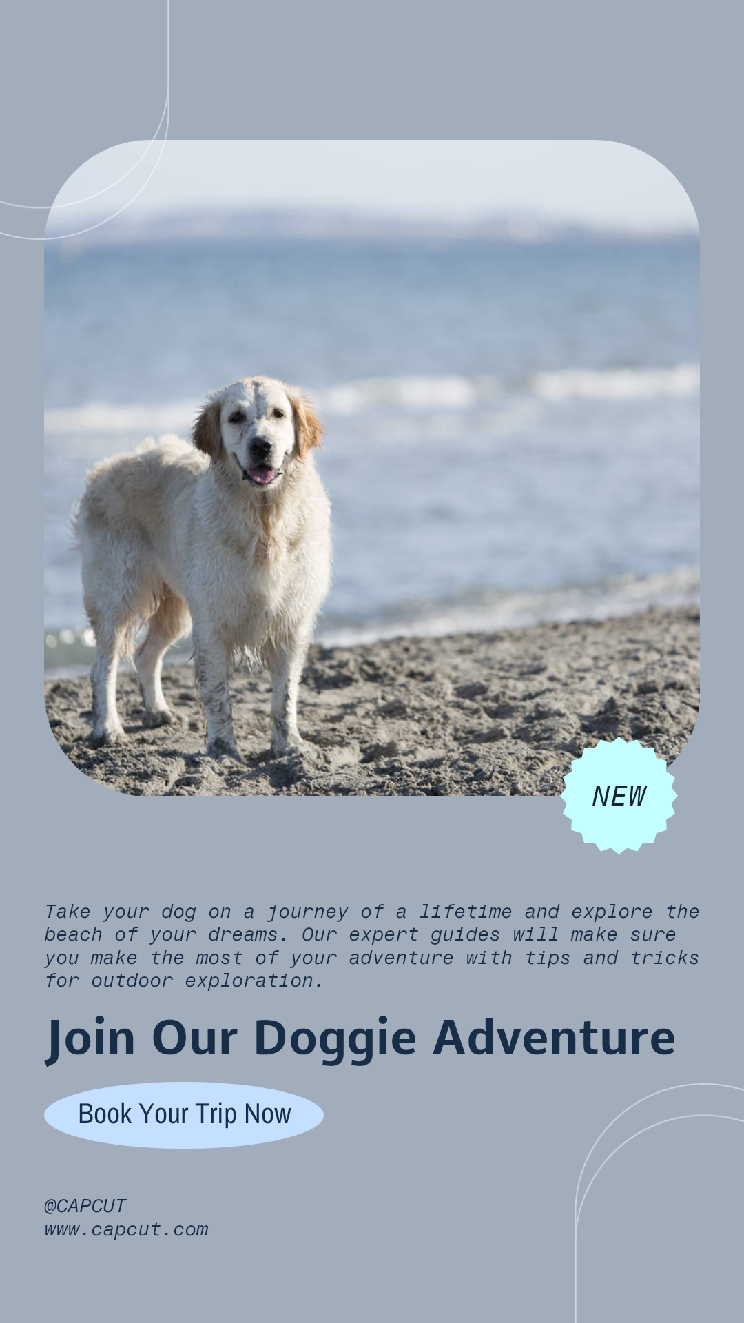 Convite Indústria Pet