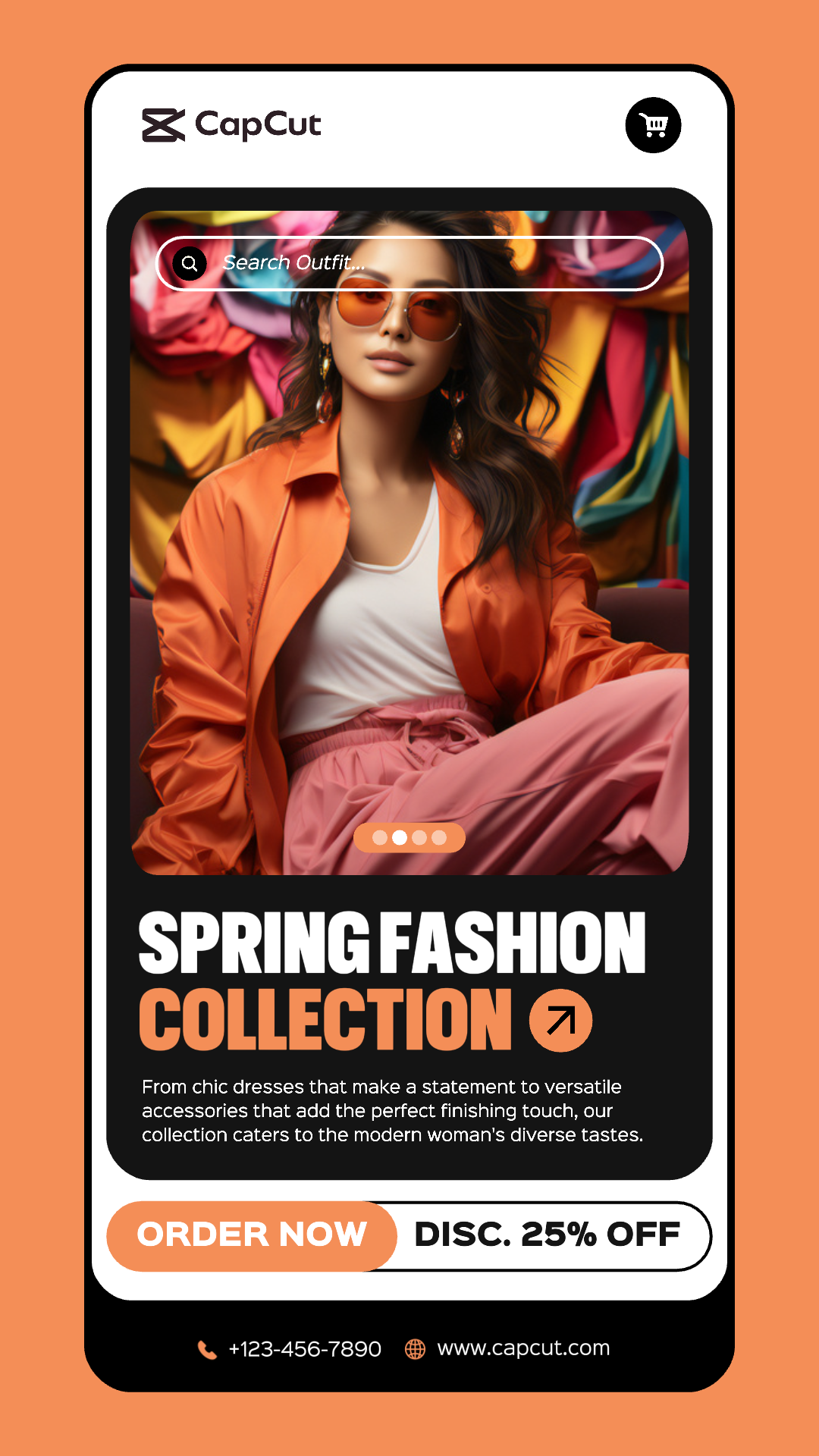 2024 Spring Fashion Collection Instagram Story