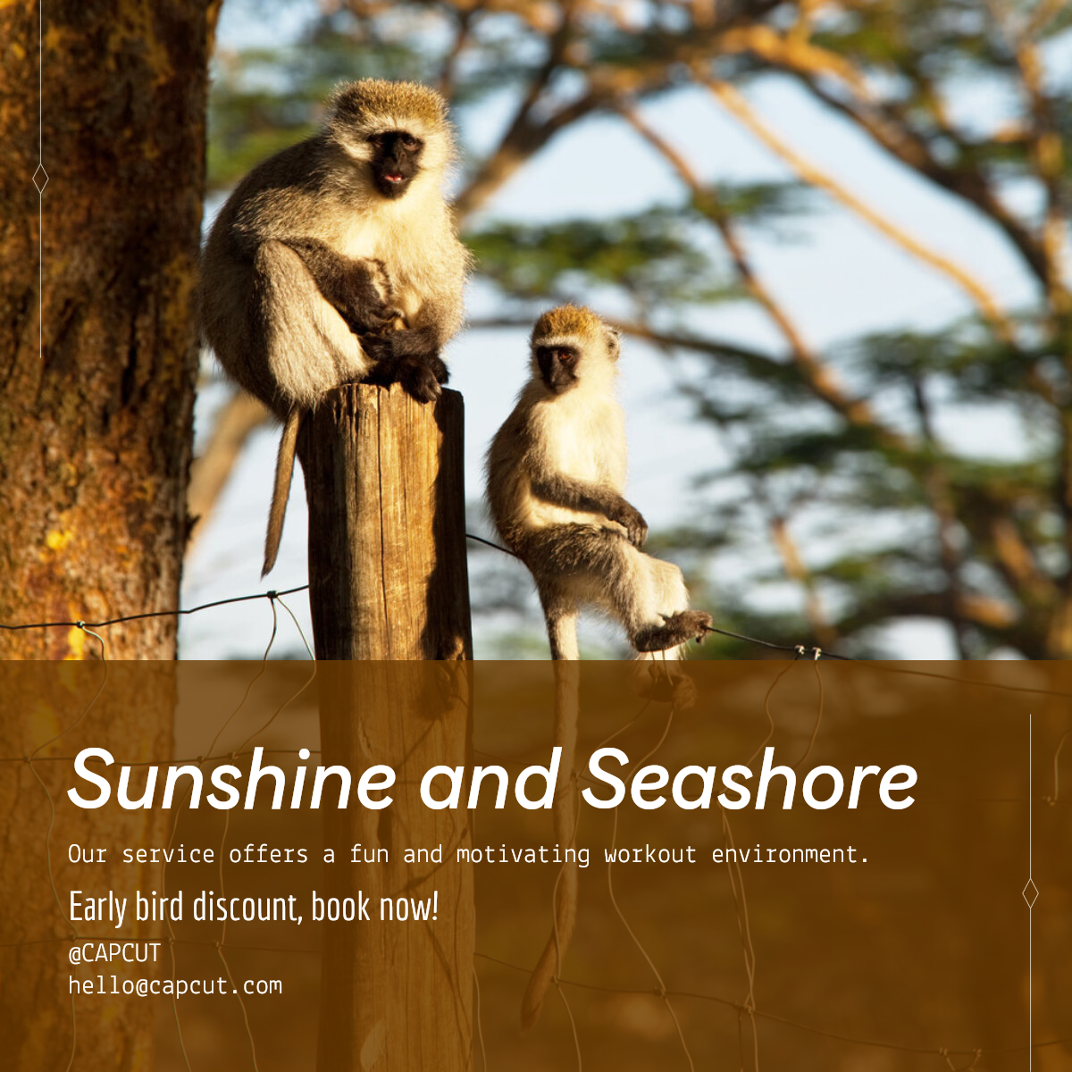 Travel industry Sales Promotion