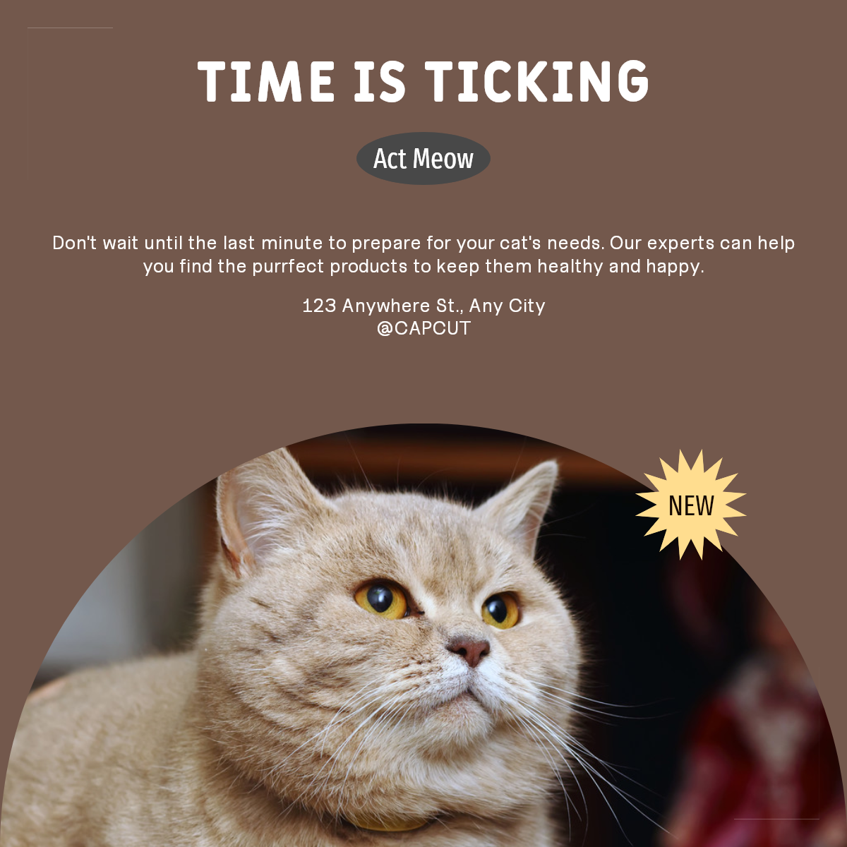 Pet industry Countdown