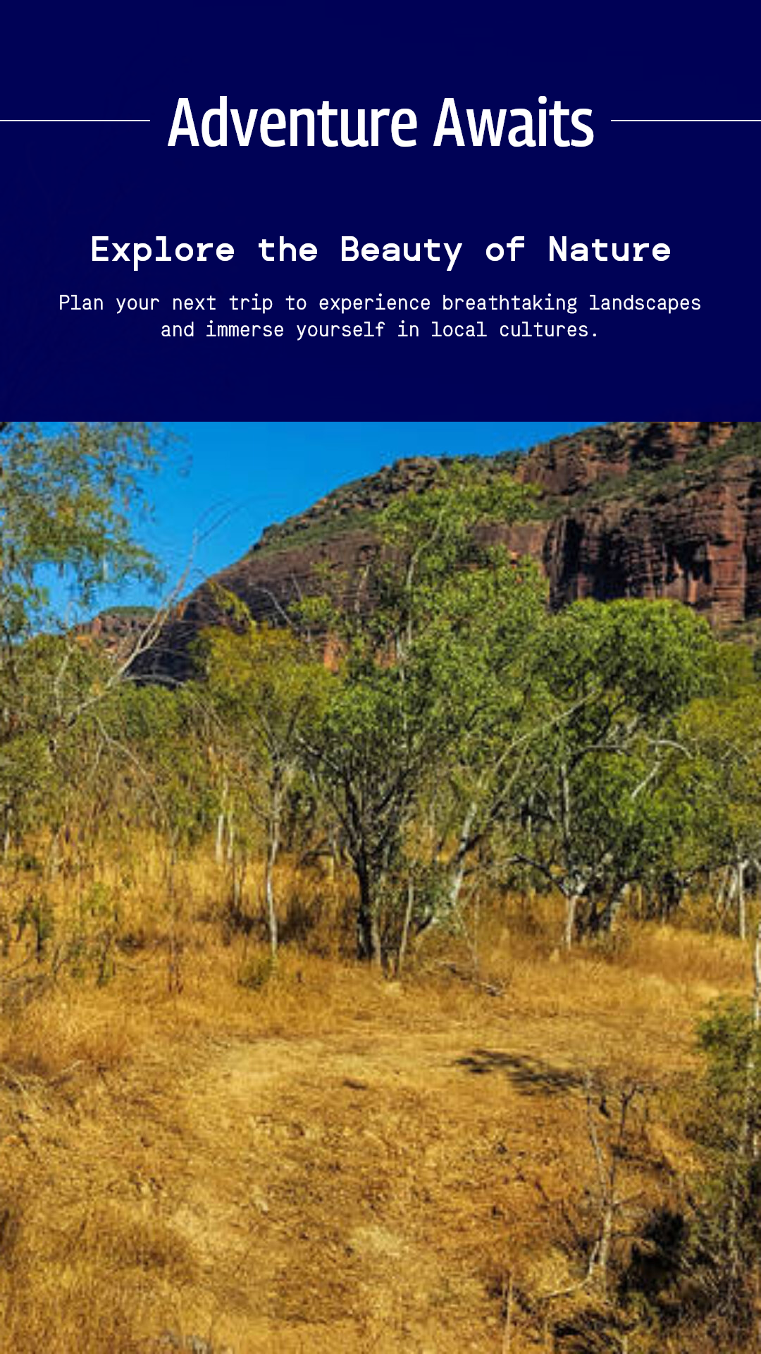 Indústria de viagens Geral