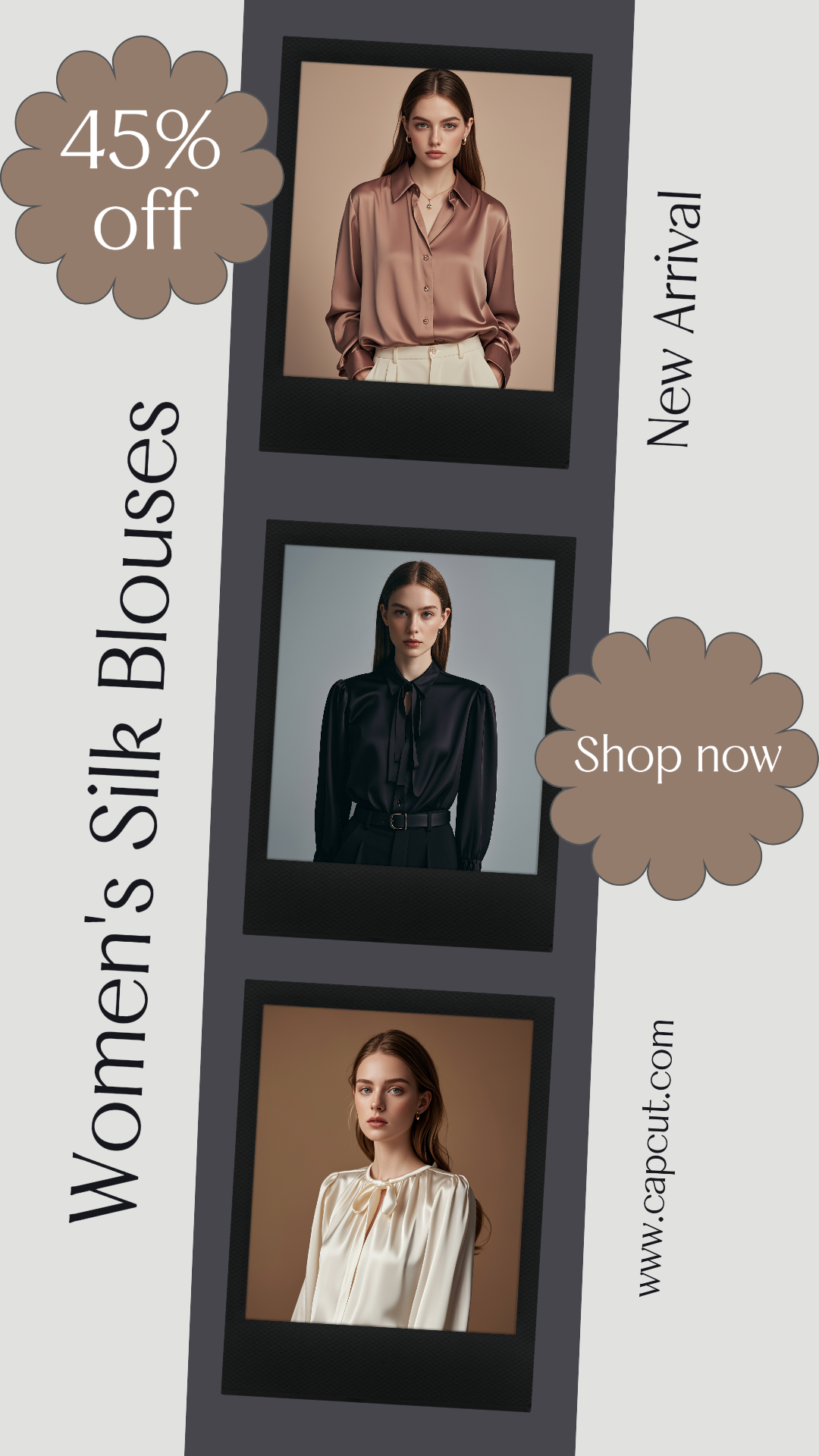 Clothing Marketing Poster Instagram Story Womcen's Silk Blouses
