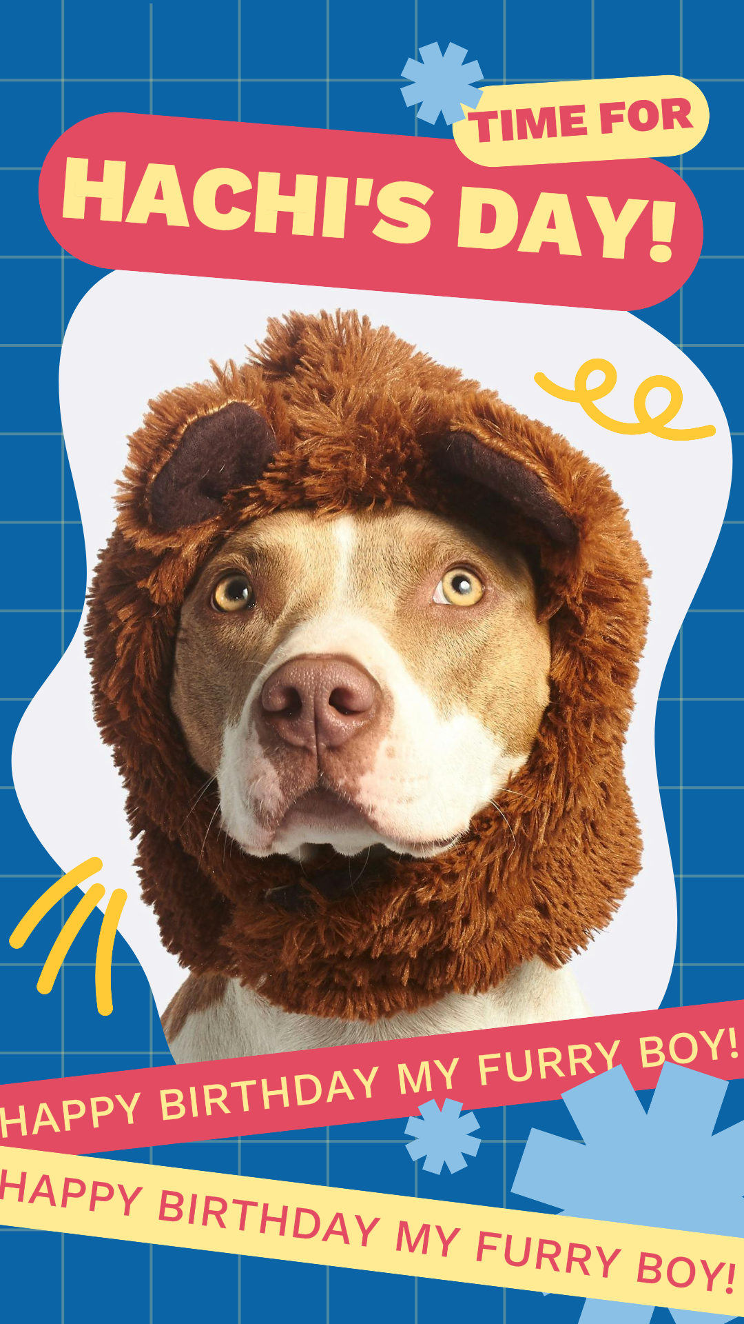 하치의 날을 위한 틱톡 썸네일 애완동물 시간!