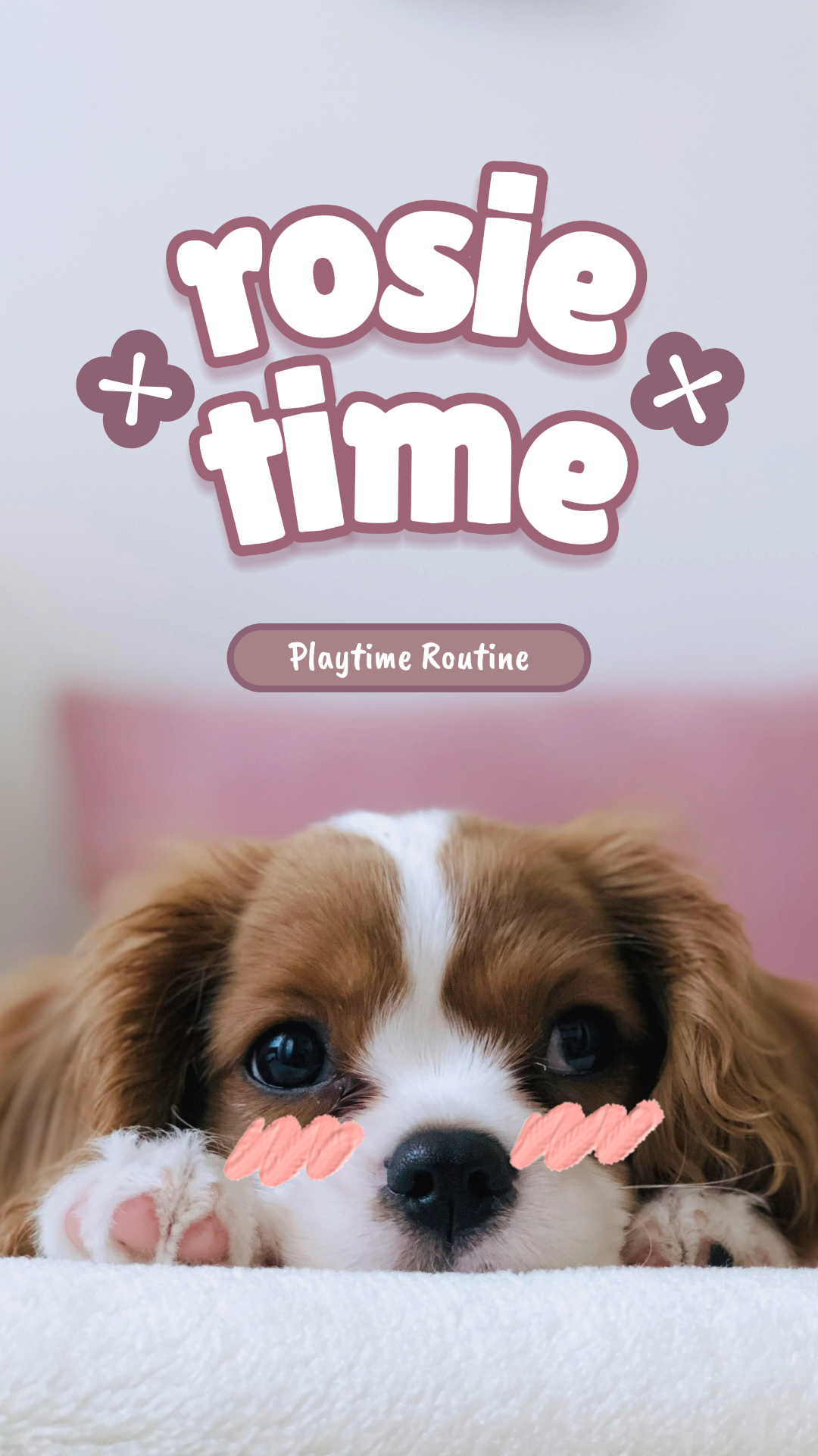 TikTok Thumbnail Haustiere Spielzeit Routine Vlog