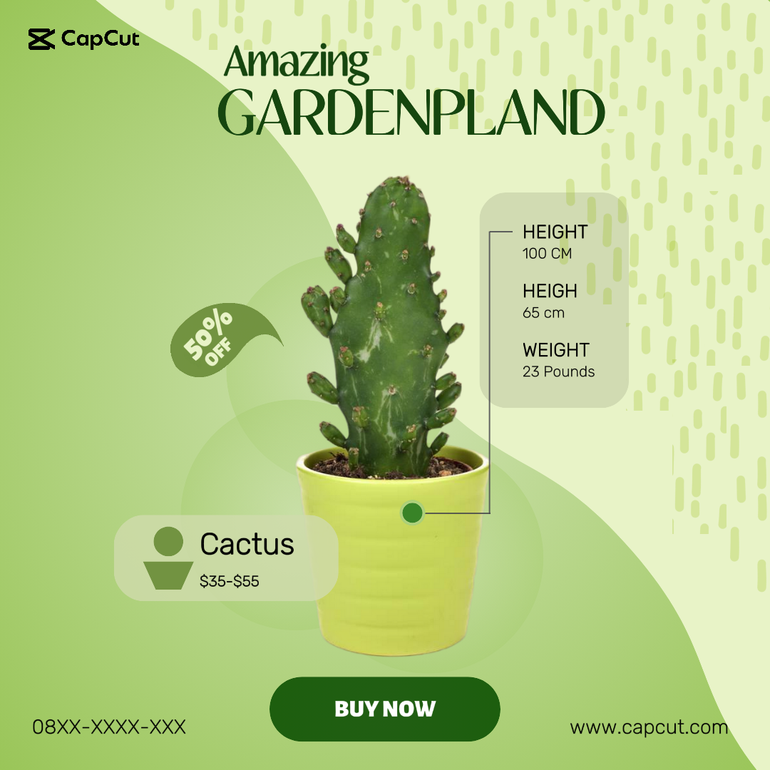 Design for plant shop or product design promotion on social media