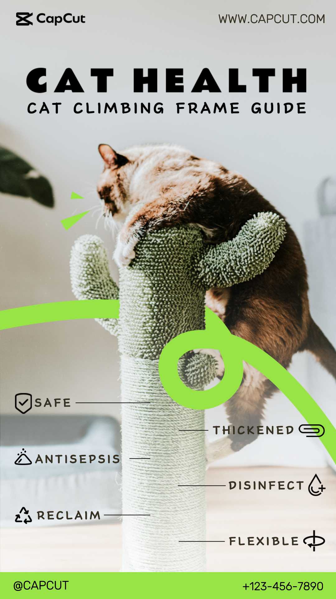 고양이 선반 제품 디스플레이 미니멀리스트