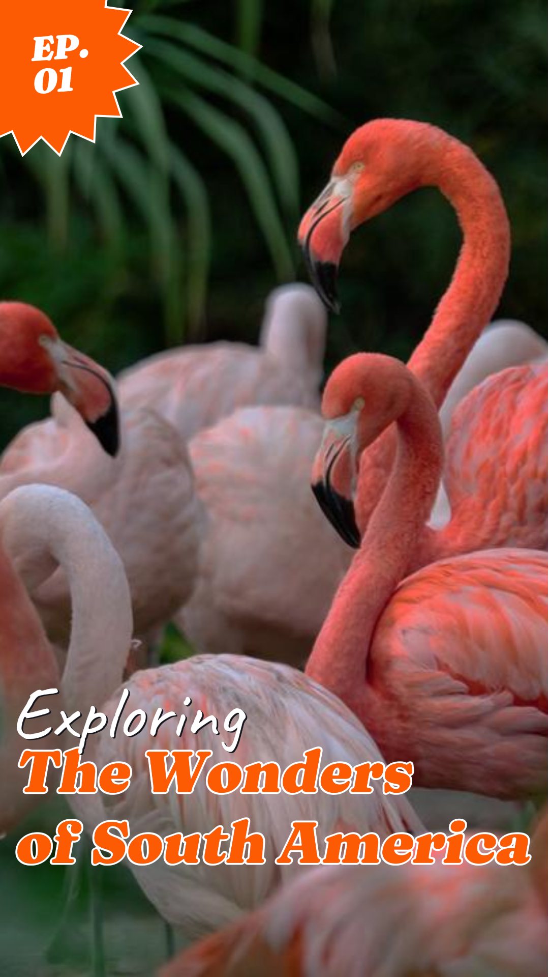 Keajaiban Perjalanan Youtube Thumbnail