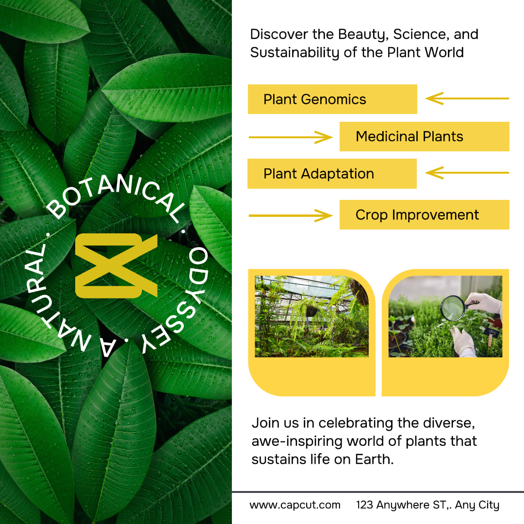 Botânica Natural Instagram Post