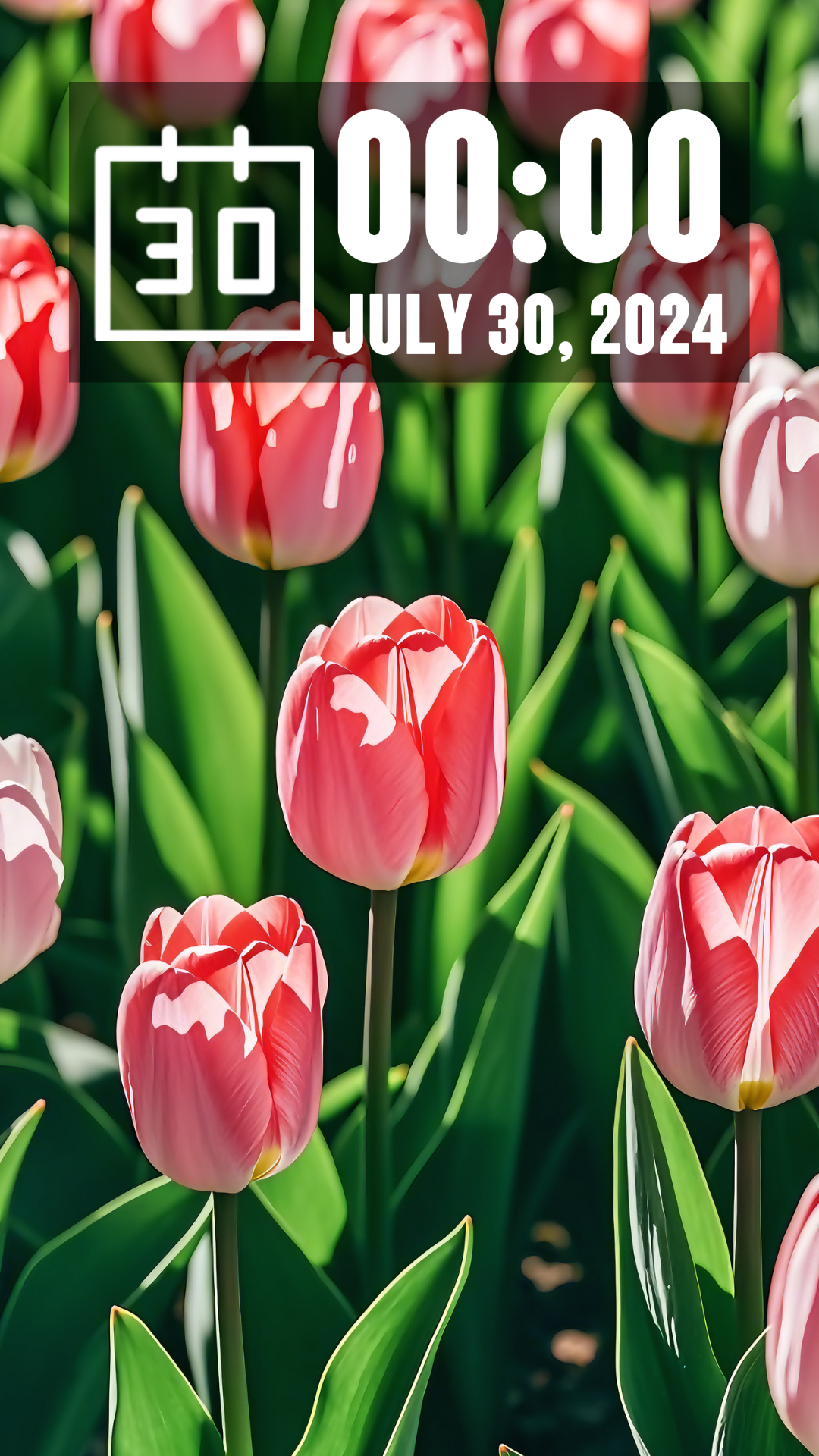 Wallpaper Creative Poster Flowers