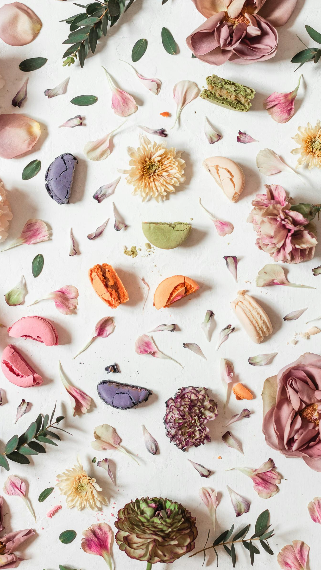 Papel de parede criativo cartaz flor