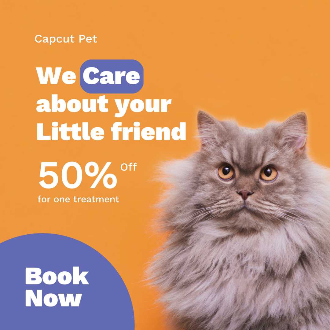 Orange Pet Care Promo Instagram Post