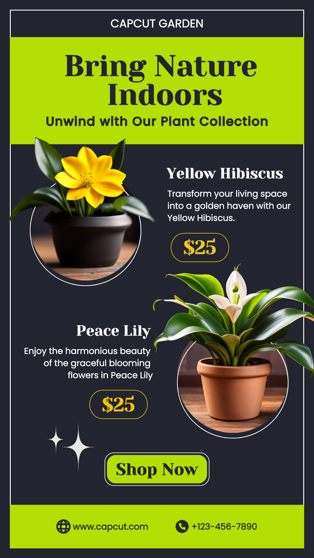 Accesorios para el hogar Colección de plantas de interior