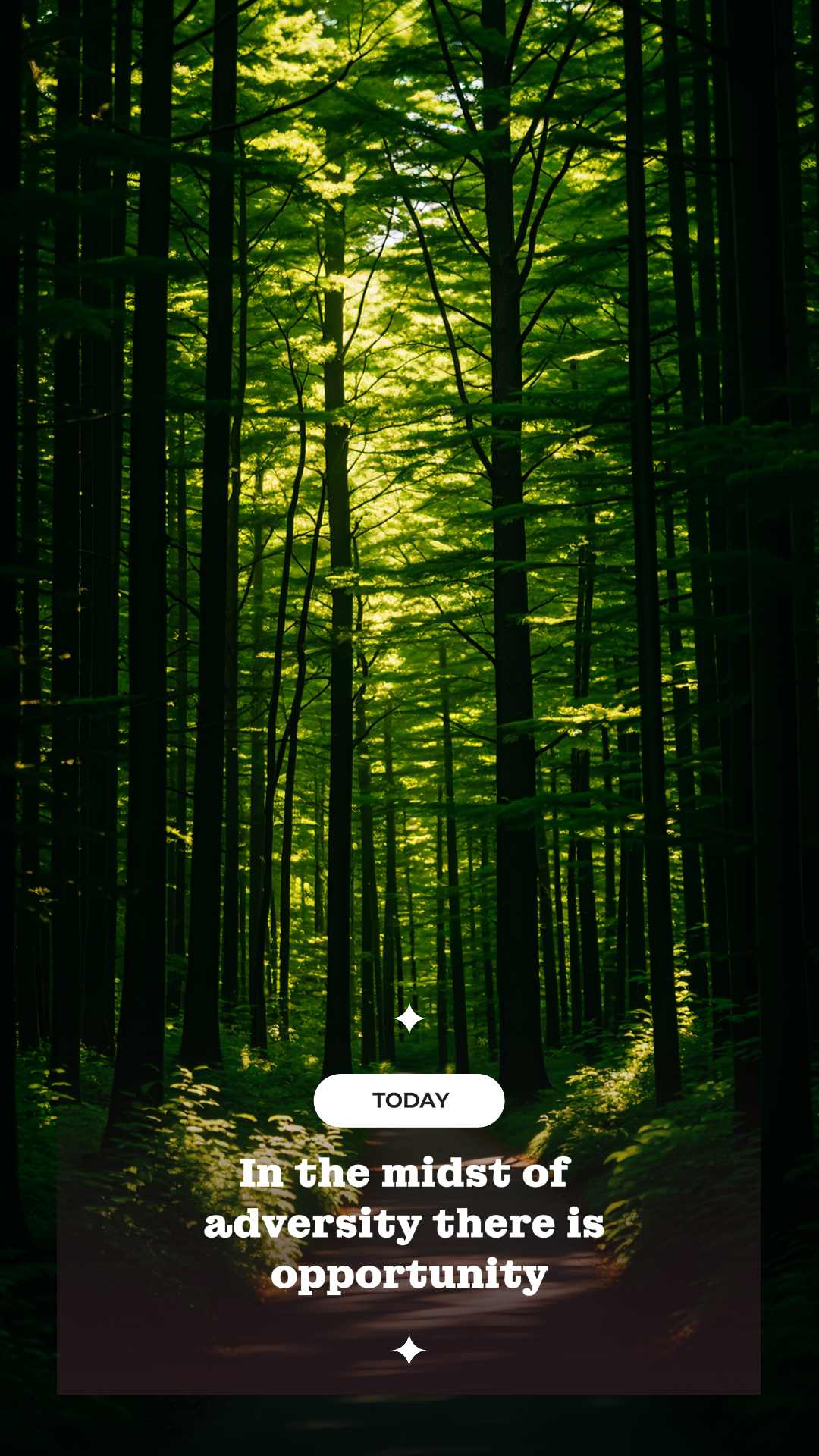 Wallpaper Creative Poster Forest