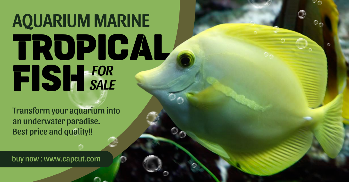 페이스북 광고 홍보 열대어 판매