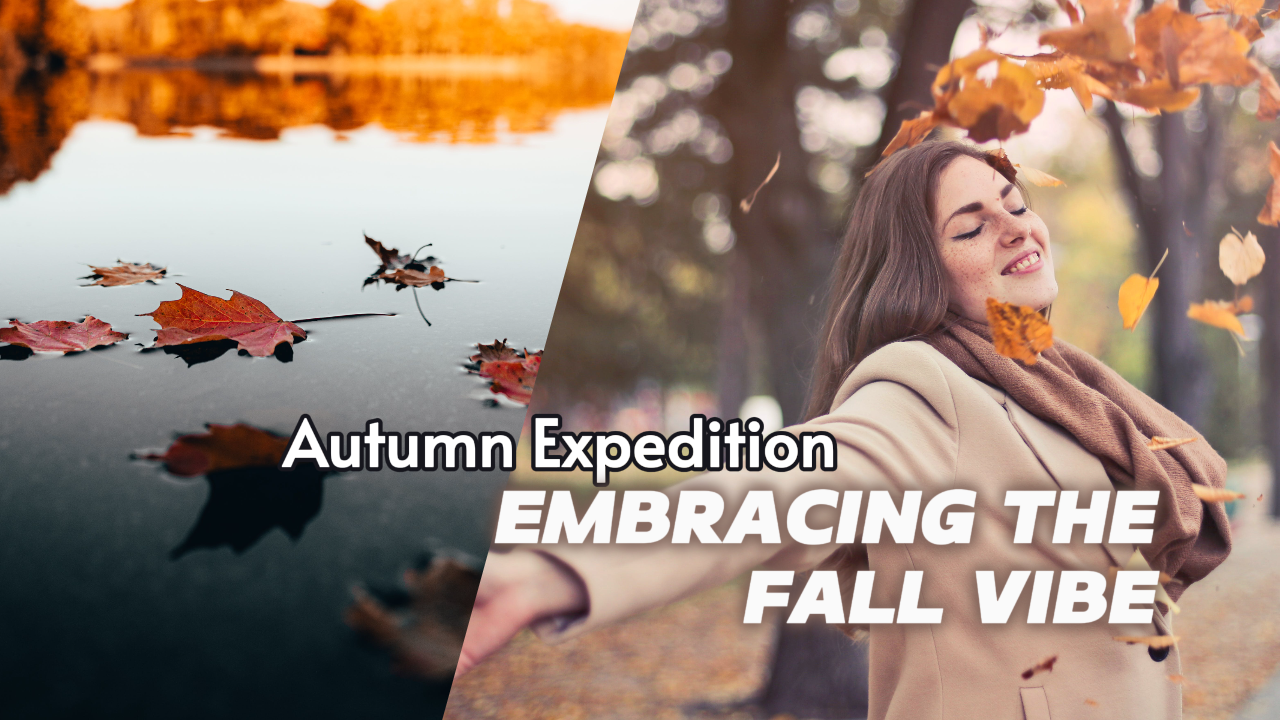 Vignette Youtube - Expédition d'automne de Vlog Travel embrassant les vibrations de l'automne