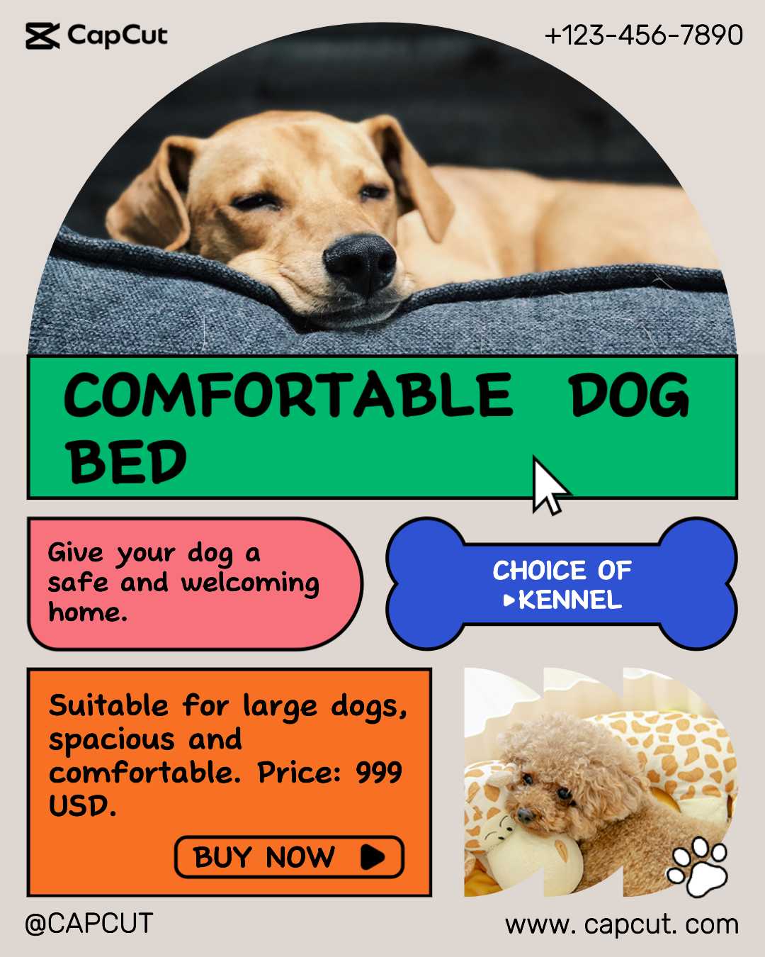 Zwinger Produktanzeige Niedlich