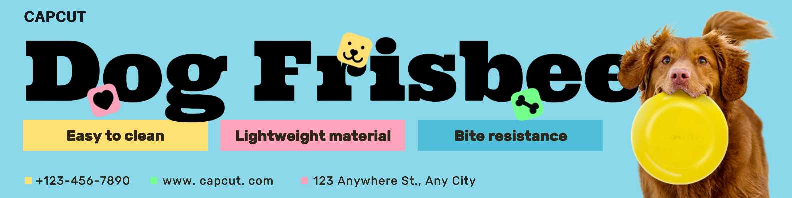 Pet Dog Frisbee Description Cute Style