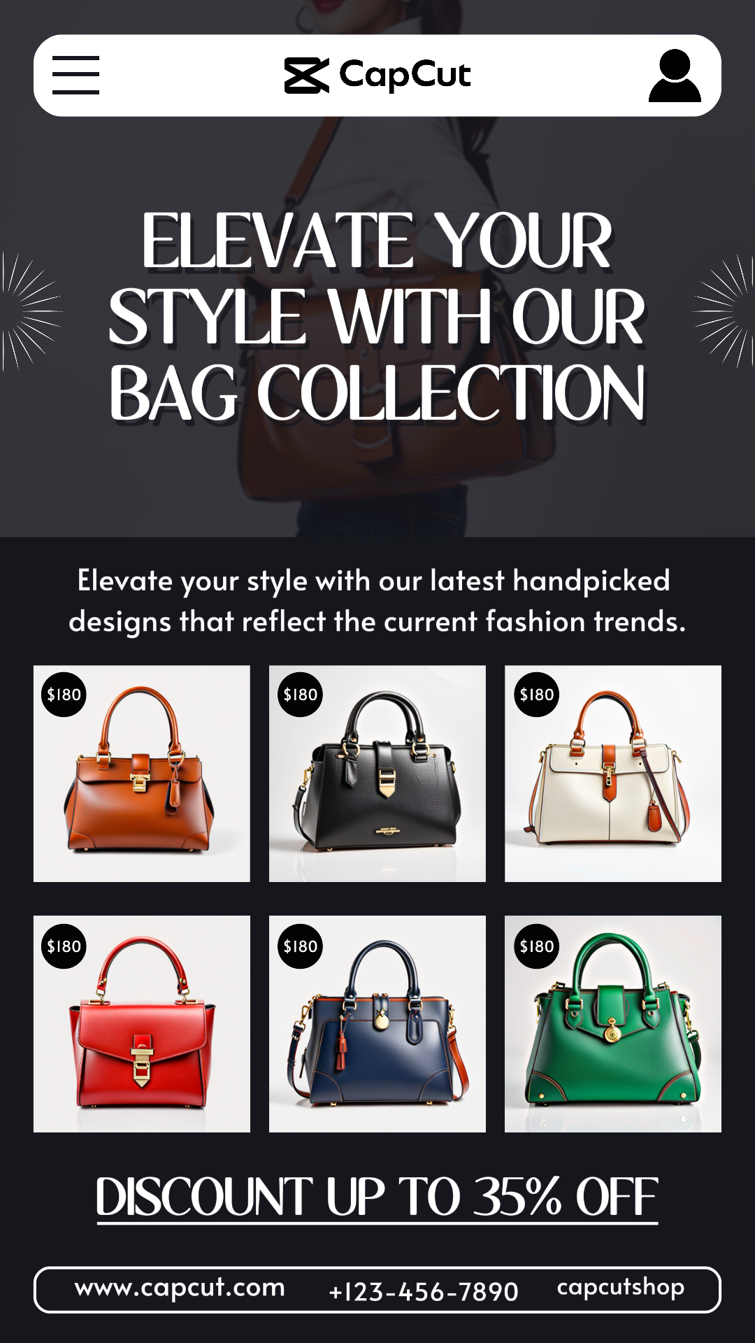 Promoção de bolsas da indústria da moda História do Instagram