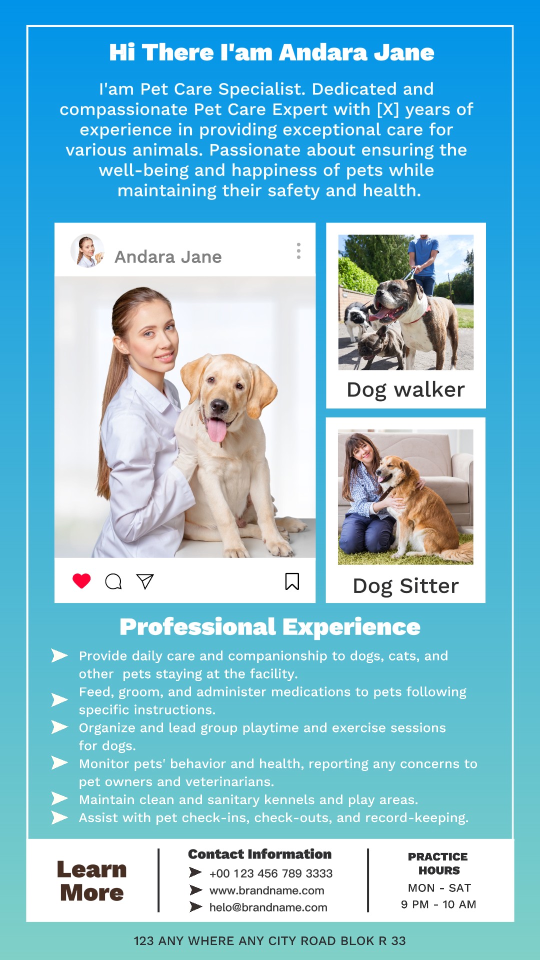Exibição de produtos para animais de estimação História do Instagram