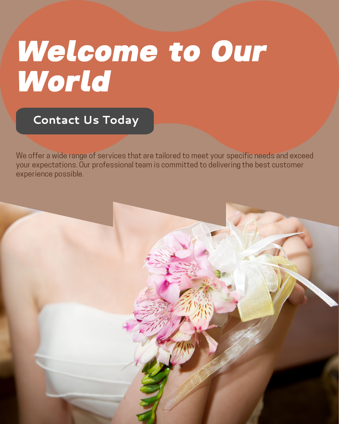 Serviços Apresentação da Empresa