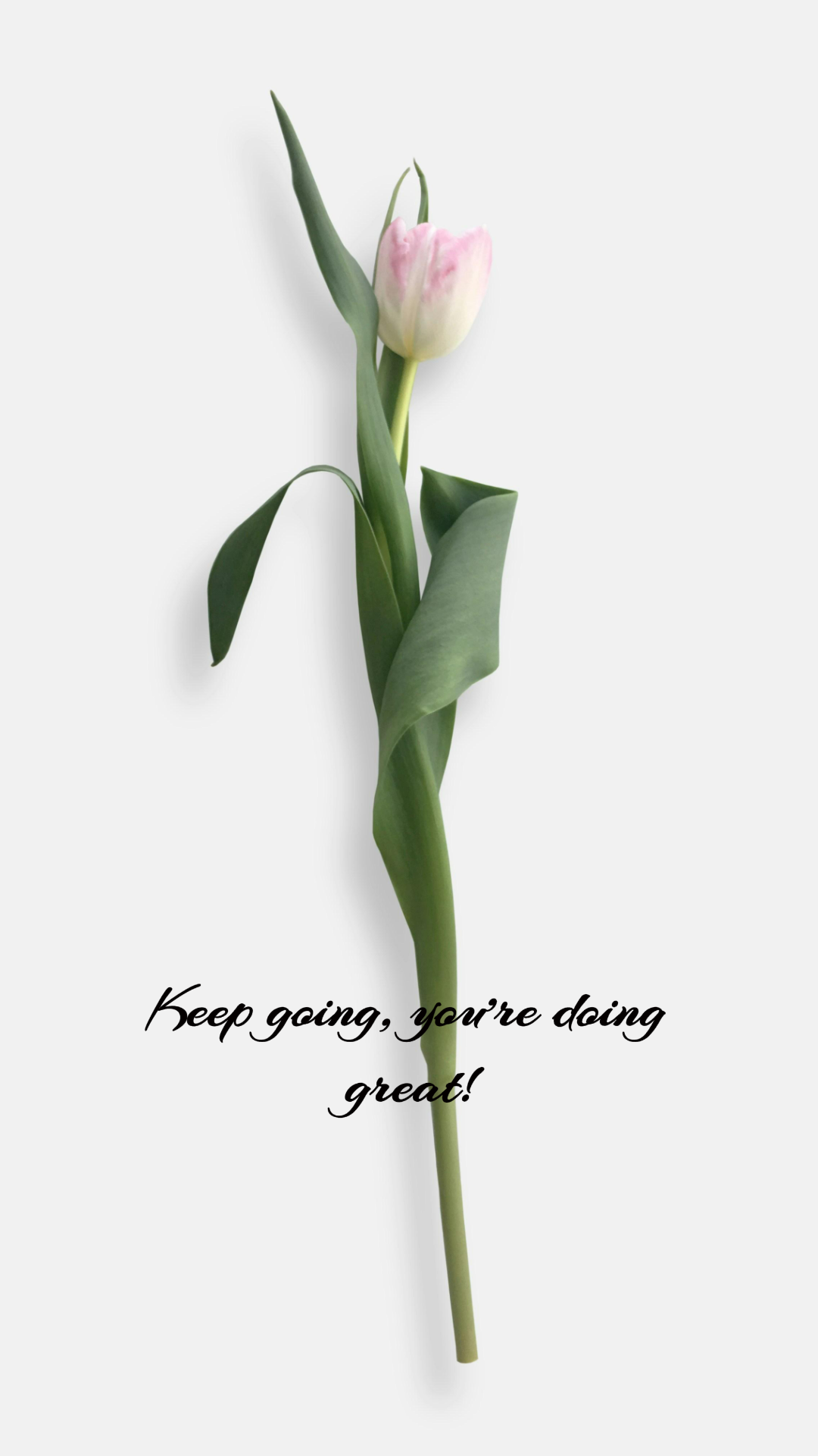  Tapete kreatives Poster Blume mit Zitaten